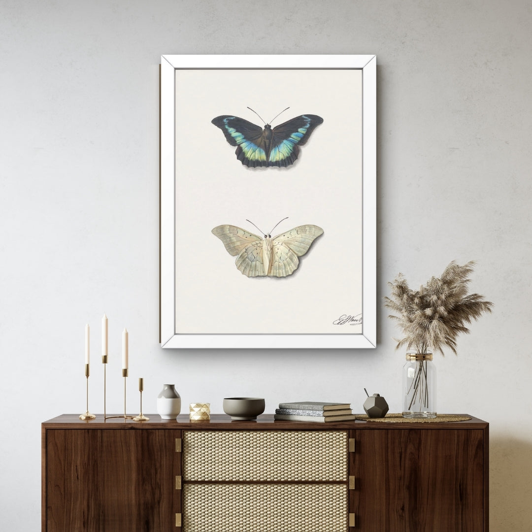 Twin Butterflies