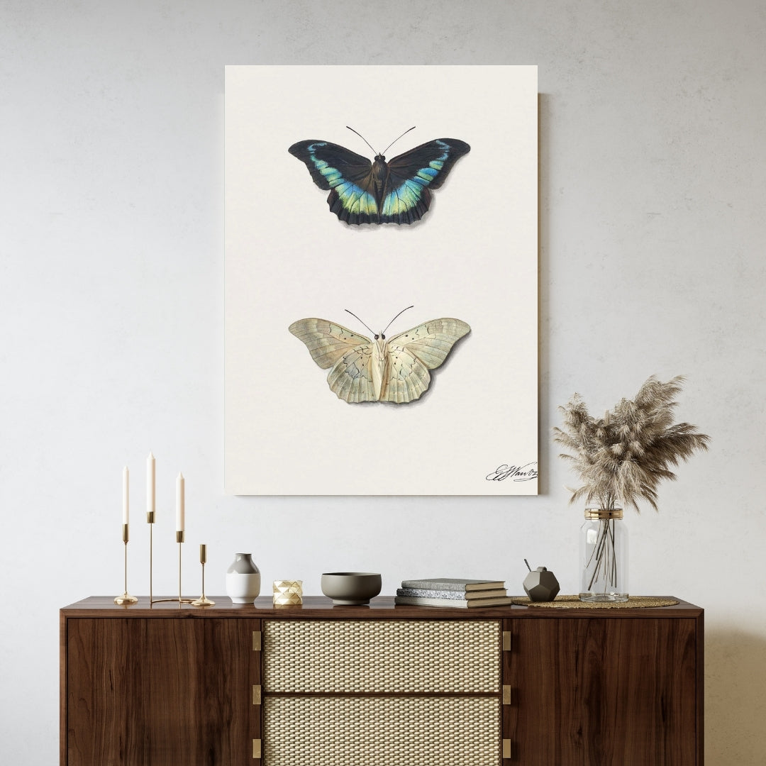 Twin Butterflies