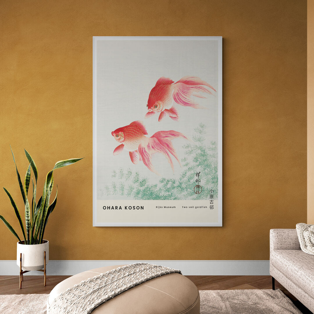 Les poissons rouges 'Two veil goldfish'