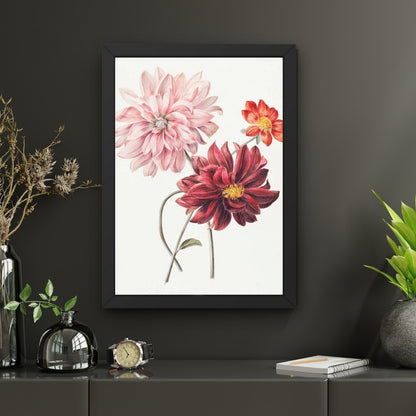 Petal Harmony
