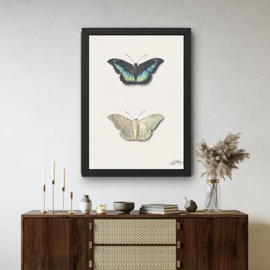 Twin Butterflies
