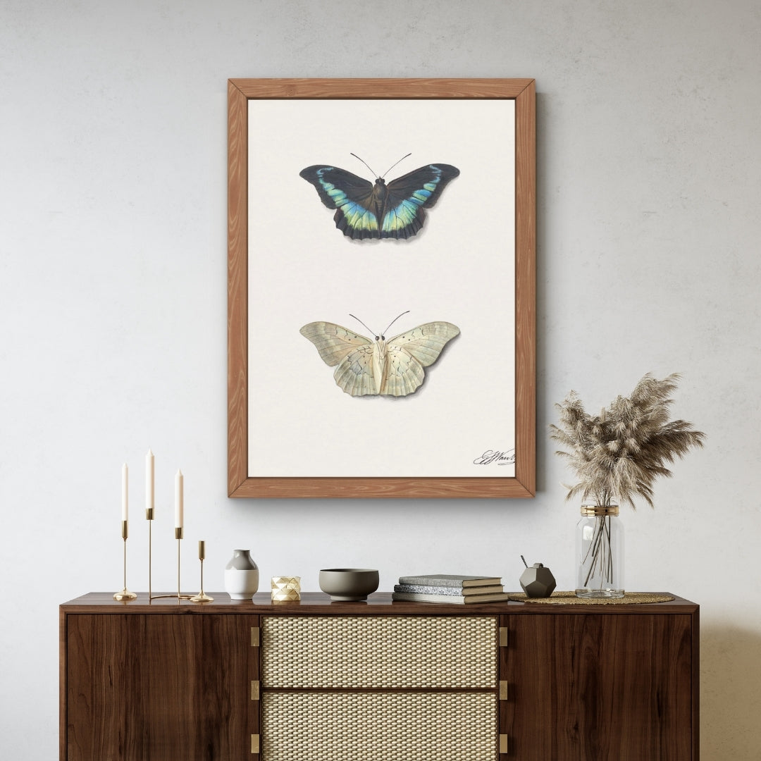 Twin Butterflies