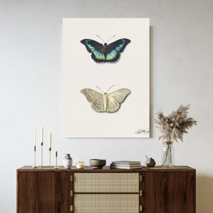 Twin Butterflies