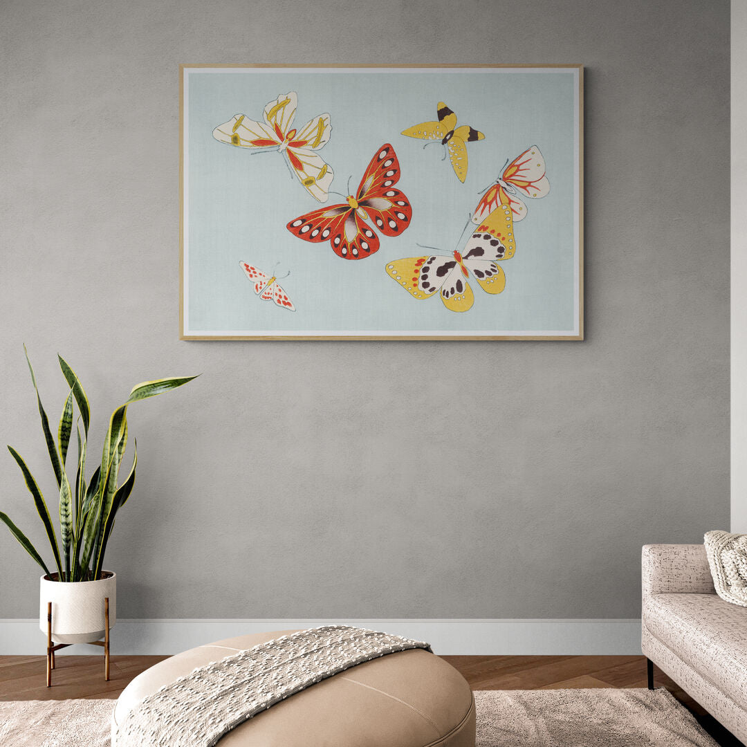 Papillons jaunes et oranges