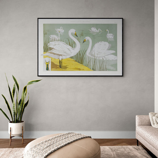 'Les Cygnes' Tableau style Paysage