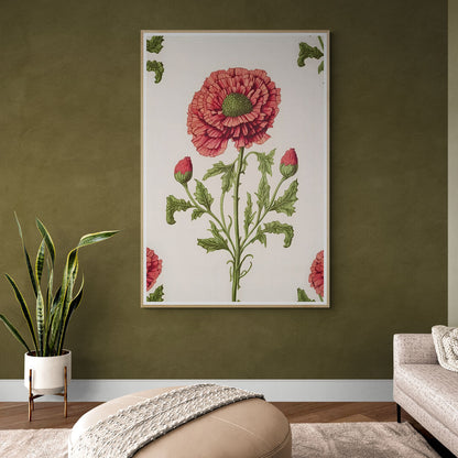 La coquelicot rouge