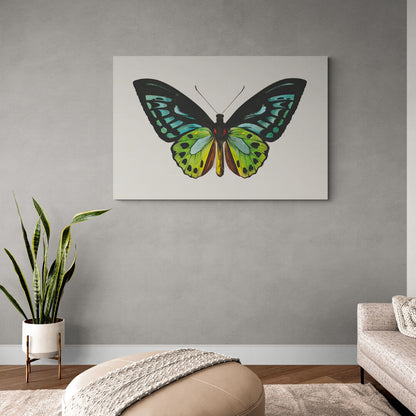 Papillon vert