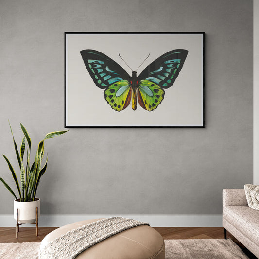 Papillon vert