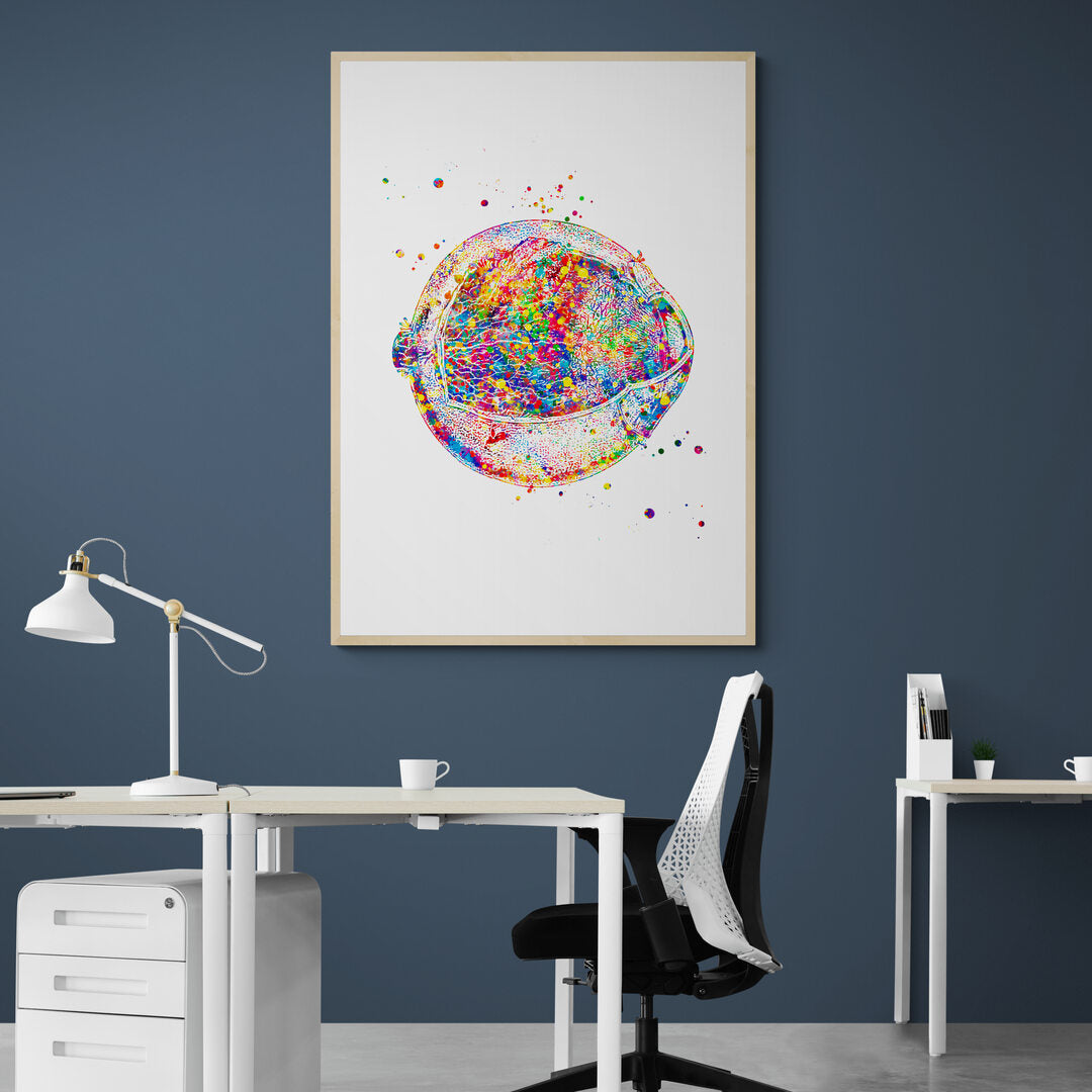 Tableau médical -  Ophtalmologue 1