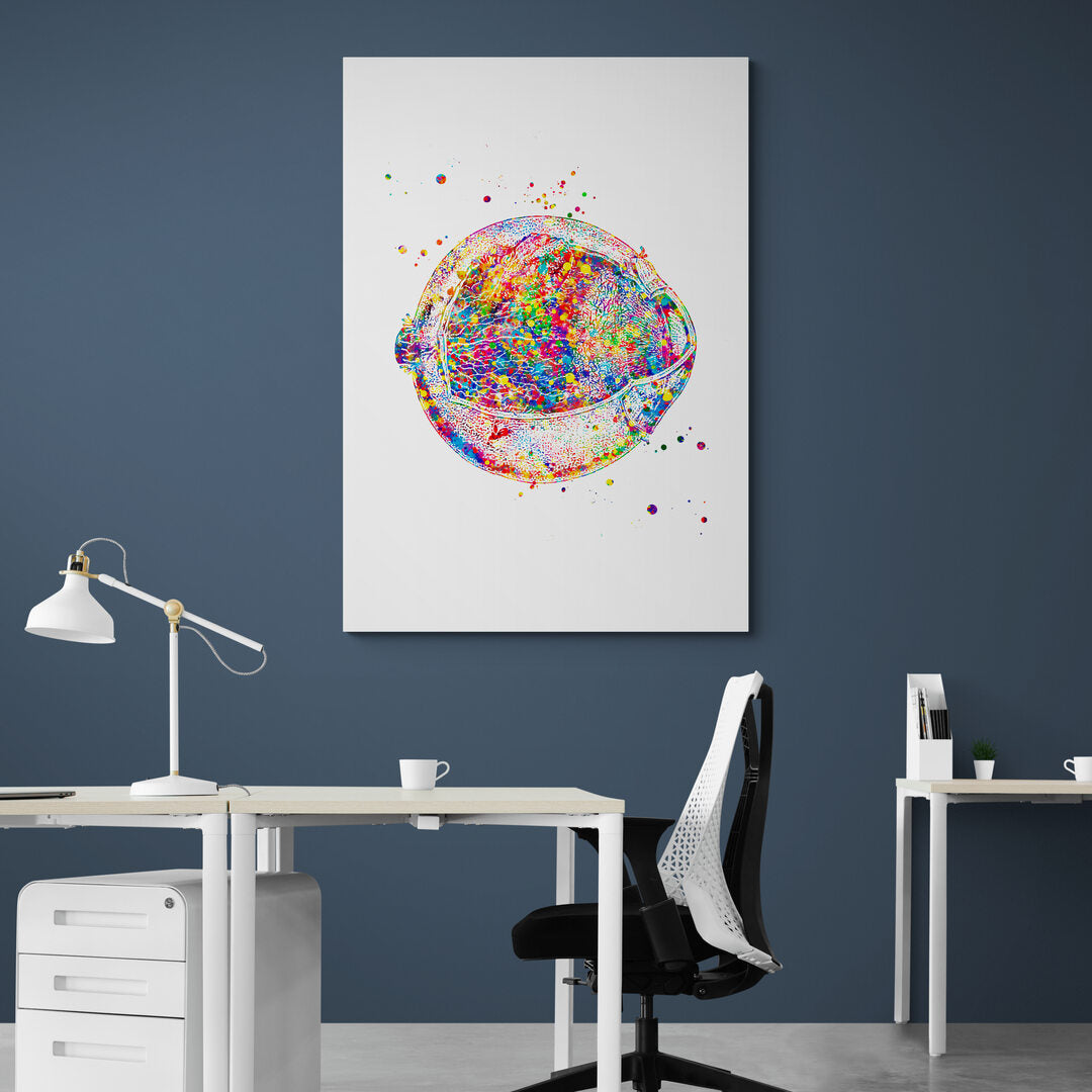 Tableau médical -  Ophtalmologue 1