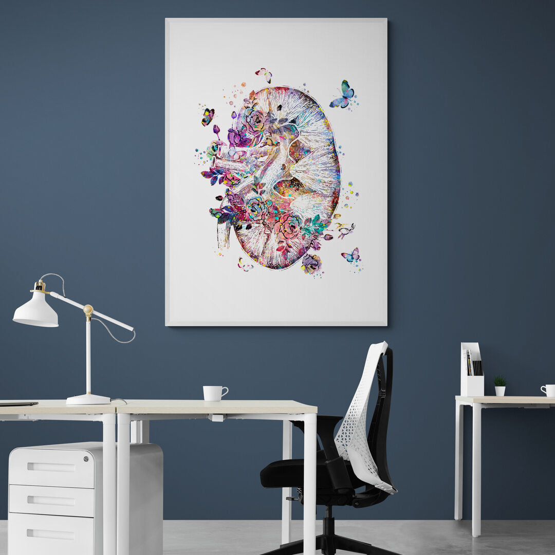 Tableau médical -  Rein