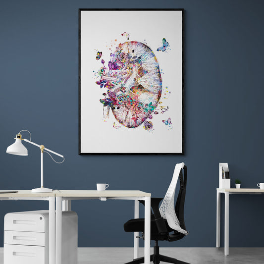 Tableau médical -  Rein