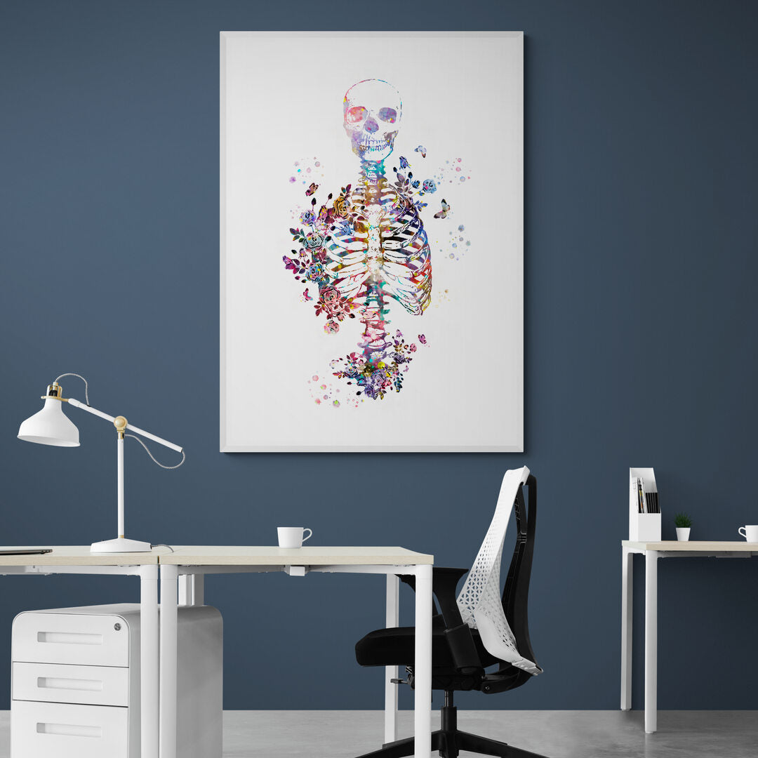 Tableau médical -  Squelette