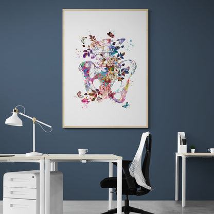 Tableau médical -  Pelvis