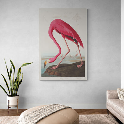 Flament rose