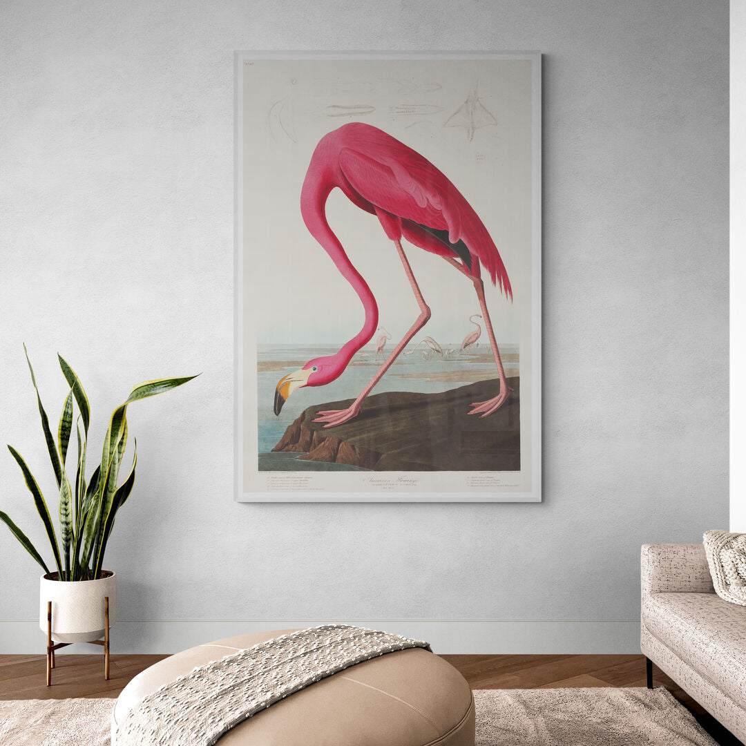 Flament rose