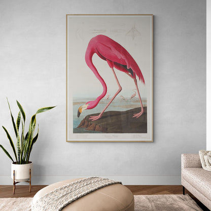 Flament rose