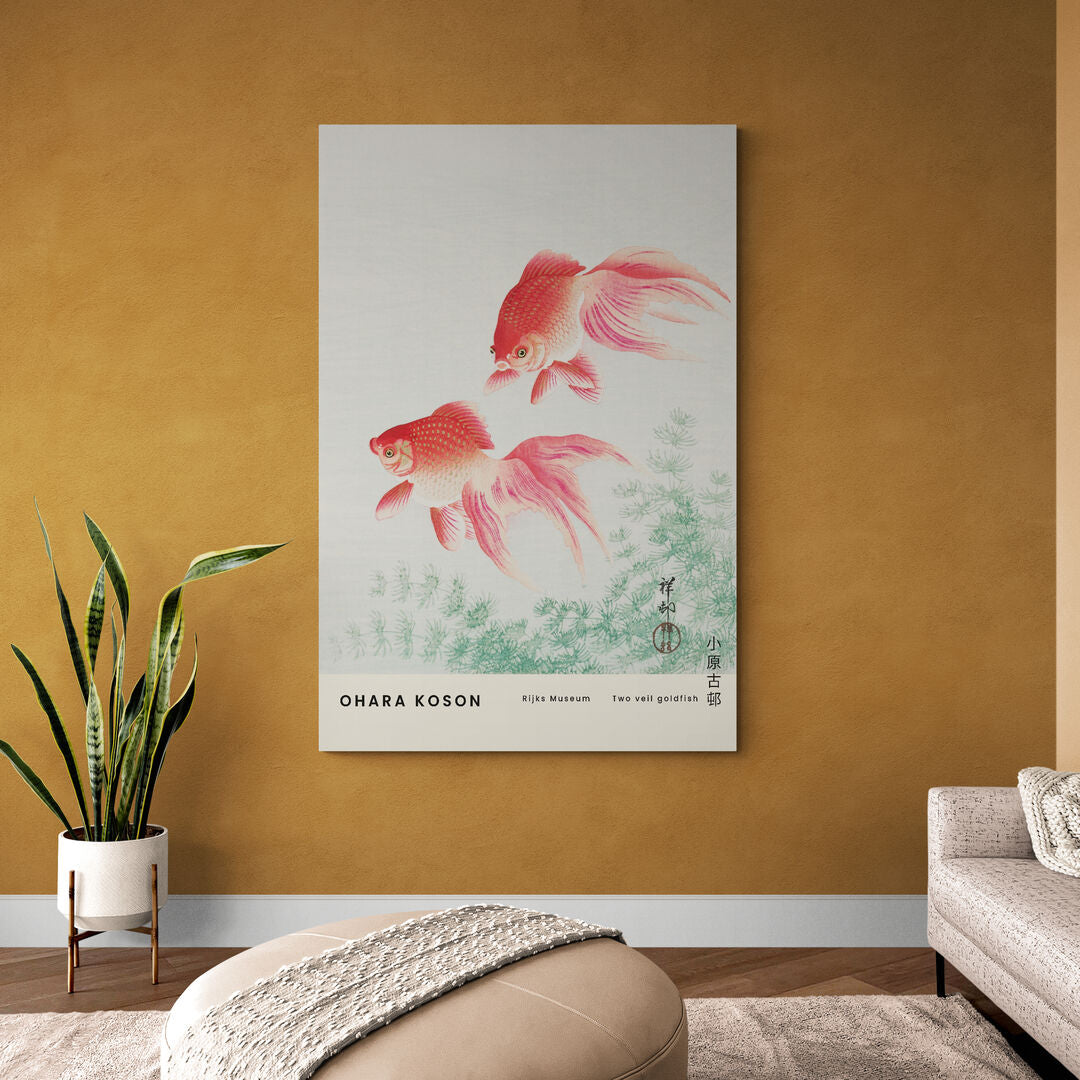 Les poissons rouges 'Two veil goldfish'